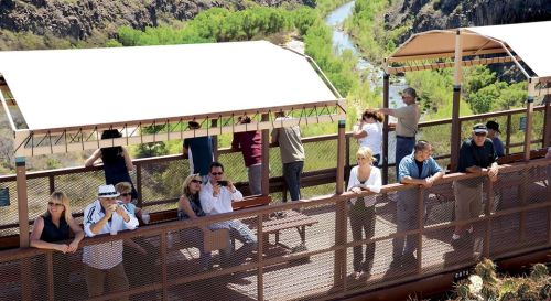 A group of people enjoying a scenic view from a wooden platform overlooking a river and lush greenery.