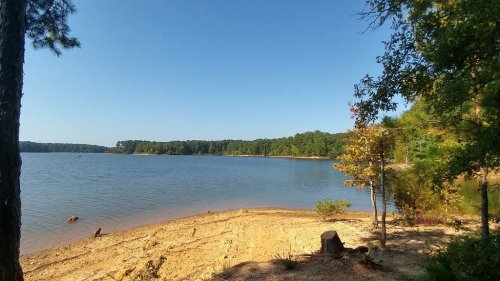 A serene lakeside view with sandy shore, surrounded by trees under a clear blue sky.
