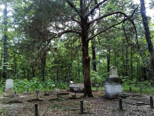 A serene forest cemetery with a large tree and several gravestones surrounded by lush greenery.