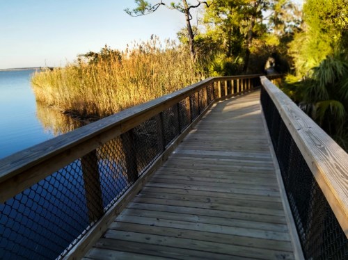 A wooden boardwalk leads through tall grasses by a calm waterway, surrounded by trees and greenery.