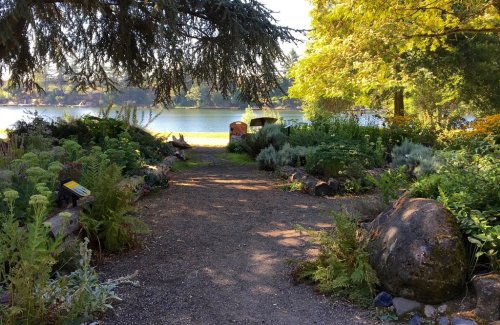 A serene garden path lined with plants, leading to a calm lake surrounded by trees and sunlight.