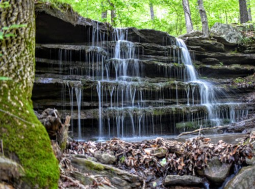 A serene waterfall cascading over rocky ledges, surrounded by lush green trees and forest foliage.