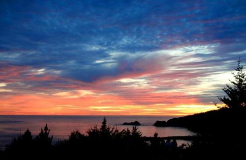 A vibrant sunset over the ocean, with colorful clouds and silhouettes of trees in the foreground.