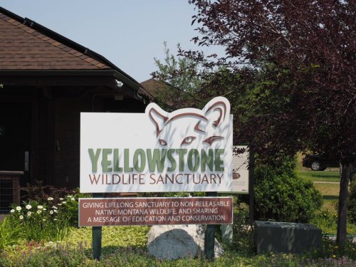 Sign for Yellowstone Wildlife Sanctuary, featuring a stylized animal graphic and information about wildlife conservation.