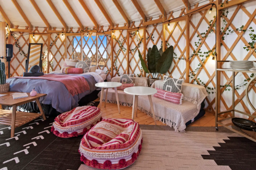Cozy yurt interior with a bed, seating area, and decorative plants, featuring warm lighting and stylish textiles.