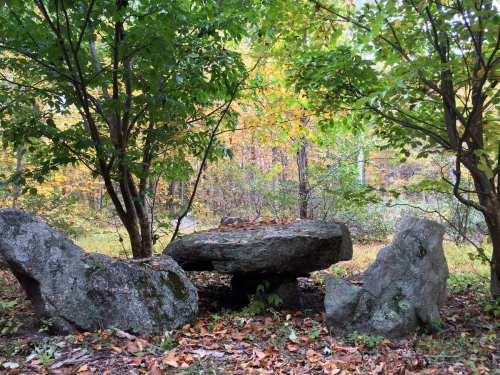 A stone table surrounded by trees and autumn foliage, with fallen leaves on the ground.