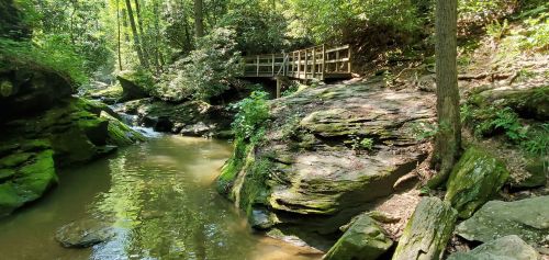 A serene forest scene with a small stream, rocky banks, and a wooden bridge surrounded by lush greenery.