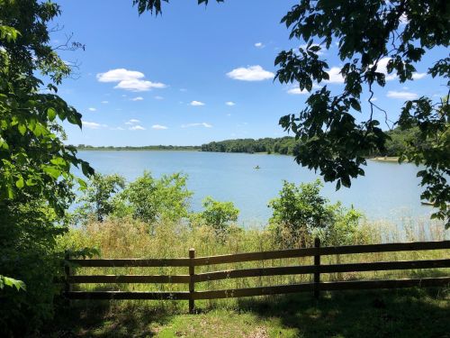 A serene lake view framed by trees and a wooden fence under a clear blue sky with a few clouds.
