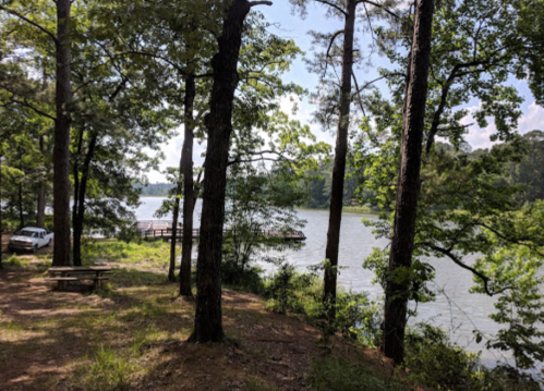 A serene lakeside view with trees, a picnic table, and a small dock in the background under a clear blue sky.