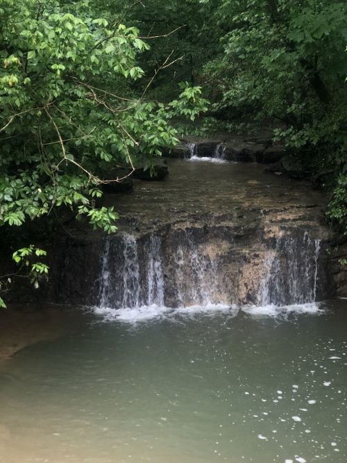 A serene waterfall cascading over rocks into a calm pool, surrounded by lush green foliage.