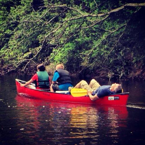 Three people in a red canoe on a calm river, surrounded by lush greenery, enjoying a leisurely outing.