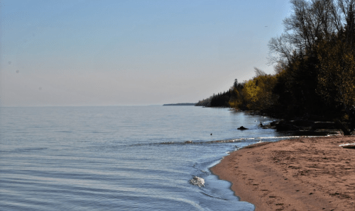 A calm lake shore with gentle waves, sandy beach, and trees lining the distant shoreline under a clear sky.