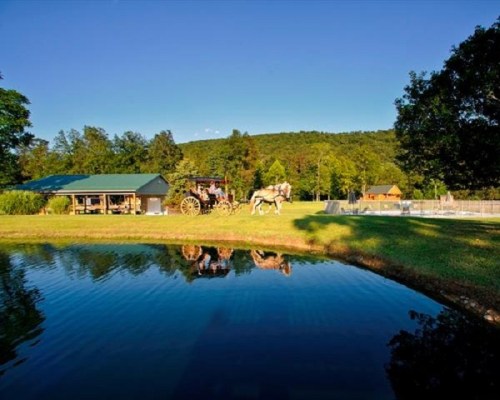 A serene landscape featuring a pond, a horse-drawn carriage, and lush greenery under a clear blue sky.