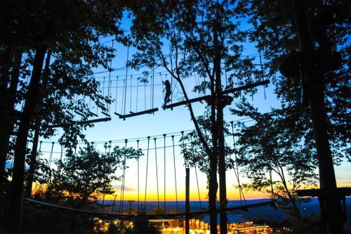 A person navigates a high ropes course among trees at sunset, with a colorful sky in the background.
