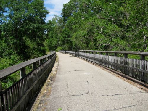 A paved pathway on a bridge surrounded by lush green trees under a clear blue sky.