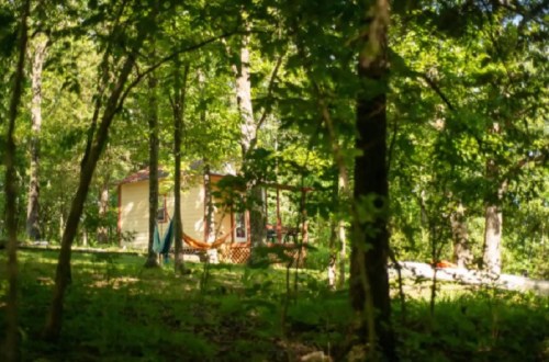 A cozy cabin nestled among lush green trees, with a hammock visible in the foreground.