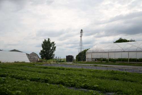 A farm scene featuring green fields, a greenhouse, a windmill, and a cloudy sky.
