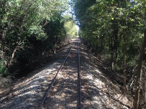 A view of a railway track surrounded by trees and foliage, leading into the distance on a sunny day.