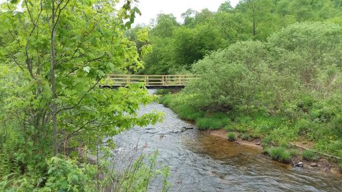 A serene stream flows through lush greenery, with a wooden bridge crossing over it in the background.