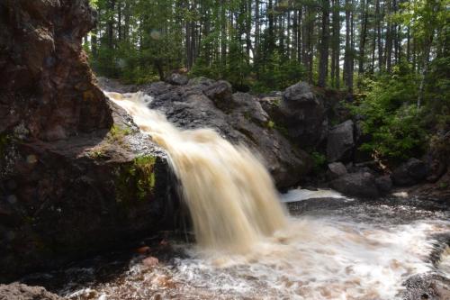 A waterfall cascades over rocks into a flowing stream, surrounded by lush green trees in a serene forest setting.