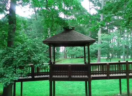 A wooden gazebo surrounded by lush green trees and grass in a serene outdoor setting.
