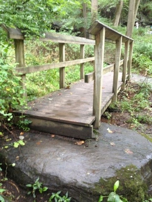 A small wooden bridge over a rocky area, surrounded by lush greenery and trees.