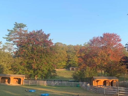 A serene landscape featuring wooden shelters, vibrant trees in autumn colors, and a clear blue sky.