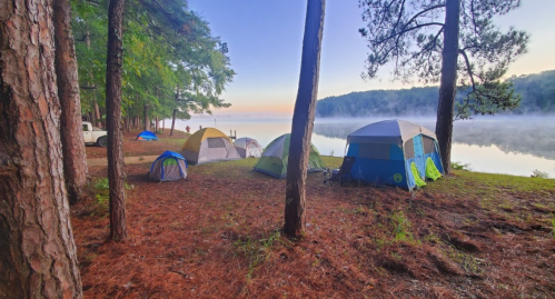 A serene lakeside campsite with several tents surrounded by trees and morning mist over the water.