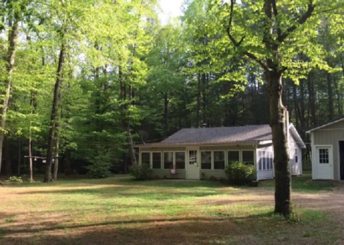 A cozy house surrounded by lush green trees in a serene forest setting.