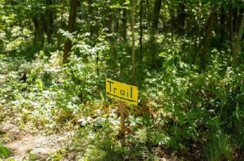 A bright yellow sign reading "Trail" stands among lush green foliage in a wooded area.