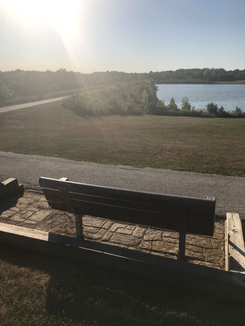 A wooden bench overlooks a serene lake with sunlight shining and greenery in the background.