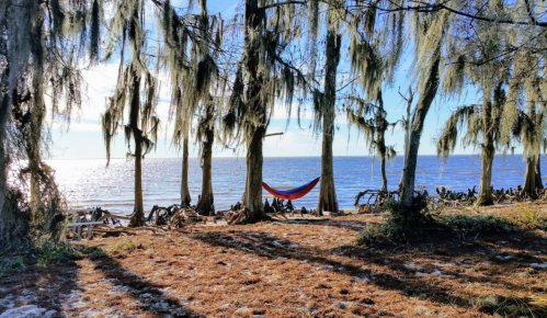 A colorful hammock hangs between trees by a serene waterfront, with moss draping from the branches and sunlight glistening on the water.