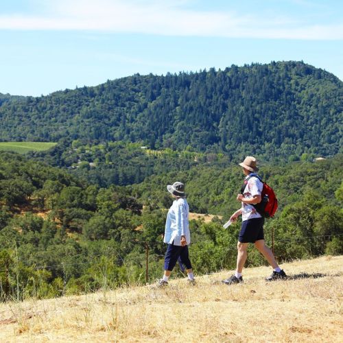 Two hikers walk along a trail with lush green hills in the background on a sunny day.