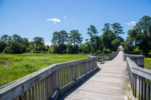 A wooden boardwalk stretches through a lush green landscape under a clear blue sky, with a bench along the path.