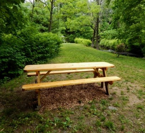 A wooden picnic table sits on a grassy area surrounded by lush green trees and shrubs.