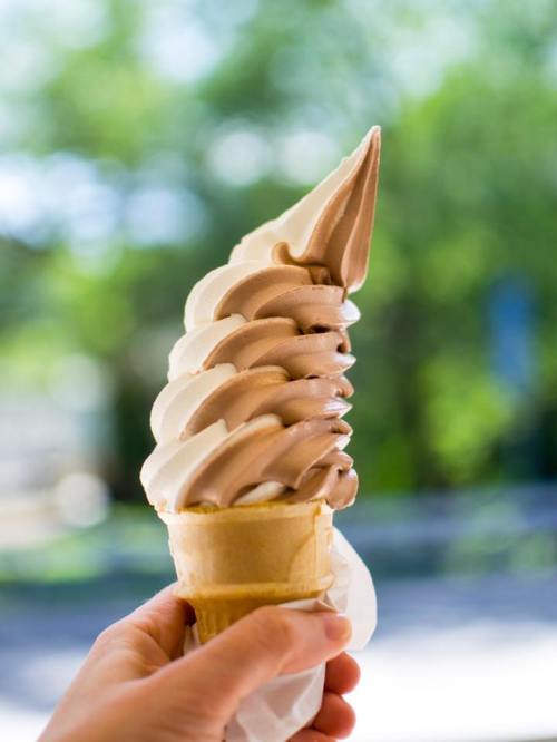 A hand holding a swirled soft serve ice cream cone with chocolate and vanilla flavors against a blurred green background.