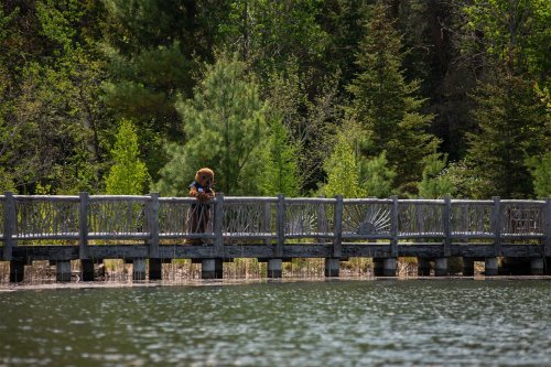 A person in a bear costume stands on a wooden bridge over a calm lake, surrounded by lush greenery.