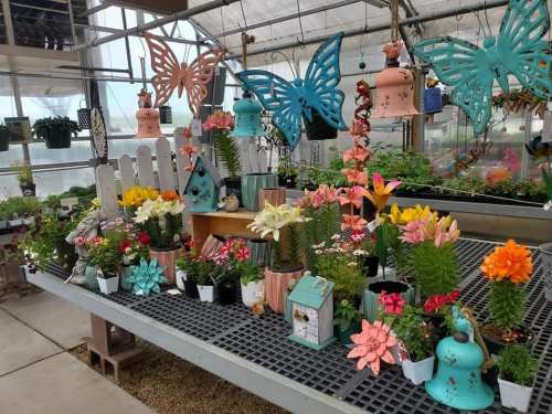 A vibrant greenhouse display featuring colorful flowers, decorative butterflies, and charming garden ornaments.