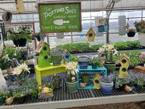 A vibrant garden shop display featuring colorful pots, plants, birdhouses, and flowers under a sign that reads "The Potting Shed."