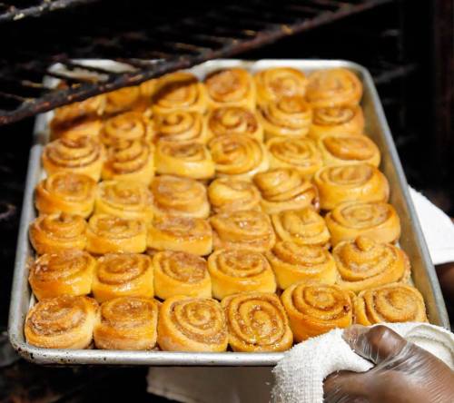 A tray of freshly baked cinnamon rolls, golden brown and swirled, being pulled from an oven.