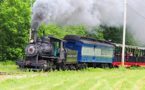 A vintage steam train with black smoke billowing, pulling a blue and red passenger car through a green landscape.