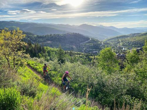 Two mountain bikers ride along a scenic trail surrounded by lush greenery and mountains under a bright sky.