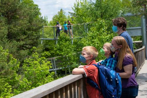 A family wearing masks looks over a railing at a park, with others visible on a walkway in the background.
