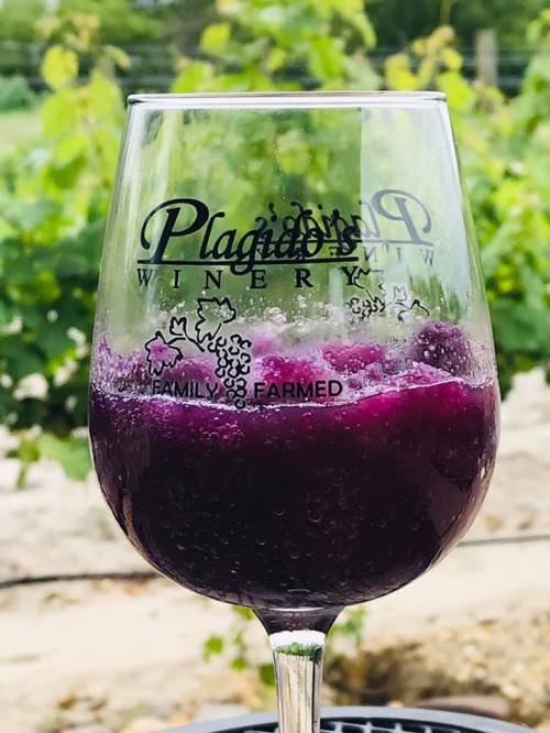 A glass of red wine with bubbles, featuring the logo of Plagido's Winery, set against a vineyard backdrop.