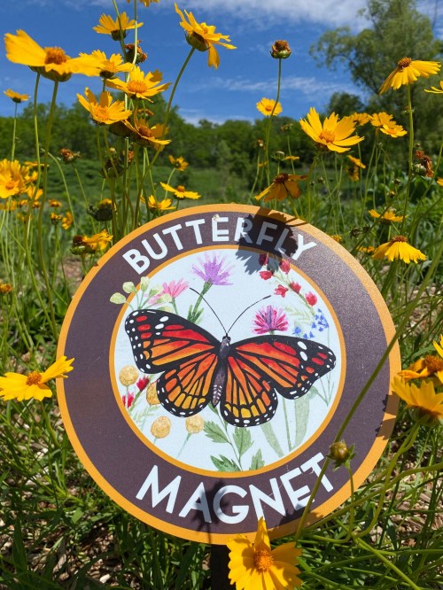 A colorful sign reading "Butterfly Magnet" surrounded by vibrant yellow flowers and a blue sky.