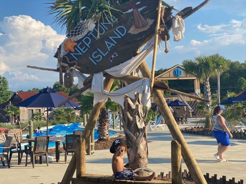 A child sits on a wooden structure labeled "Neptune Island" at a sunny poolside area with palm trees and umbrellas.