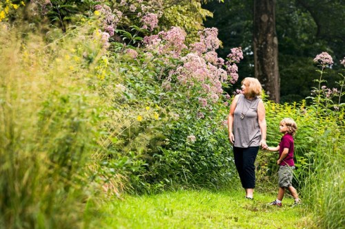 A woman and a child walk hand-in-hand along a lush, flower-lined path in a green, natural setting.