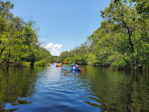 Two people kayaking on a calm, reflective river surrounded by lush green trees under a clear blue sky.