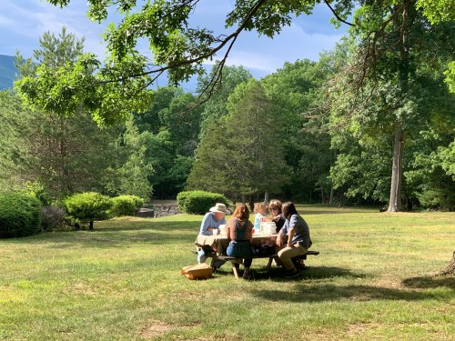 A group of people gathered around a picnic table in a green park, surrounded by trees and mountains in the background.