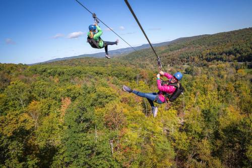 Two people ziplining through a vibrant forest with colorful autumn foliage under a clear blue sky.
